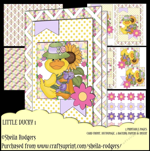 Little Ducky 1