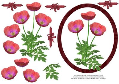 Red Poppies in Oval Frame