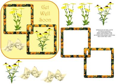Marigolds Get Well Soon