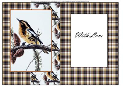 Bird with Fir Cones
