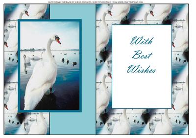 Mute Swan Fold Back