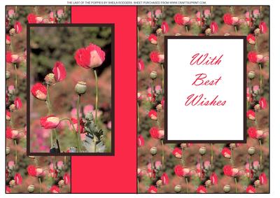 The Last of the Poppies