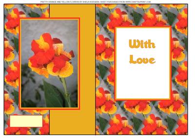 Pretty Orange and Yellow Flowers