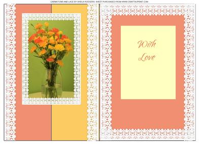 Carnations and Lace