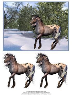 Horse on Snow
