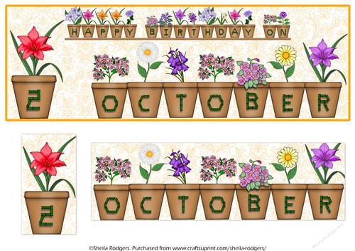 DAY OF THE YEAR BIRTHDAY FEMALE - OCTOBER 2