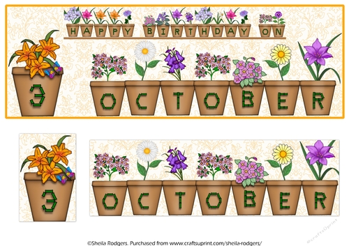 DAY OF THE YEAR BIRTHDAY FEMALE - OCTOBER 3