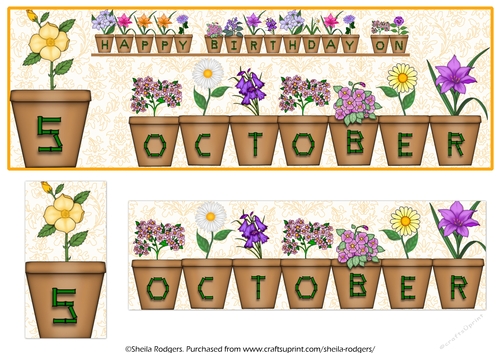 DAY OF THE YEAR BIRTHDAY FEMALE - OCTOBER 5