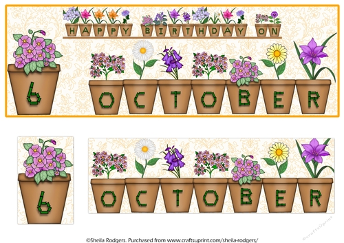 DAY OF THE YEAR BIRTHDAY FEMALE - OCTOBER 6