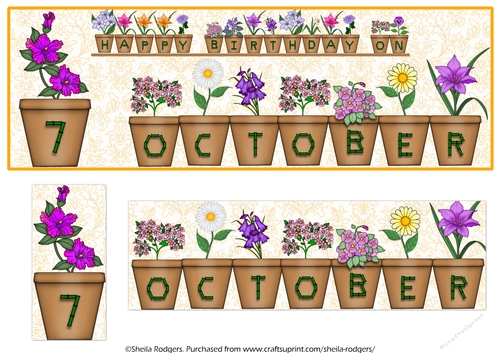 DAY OF THE YEAR BIRTHDAY FEMALE - OCTOBER 7