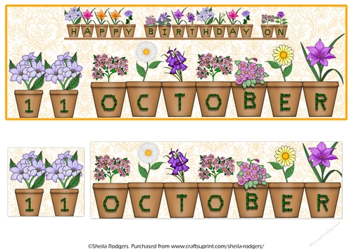 DAY OF THE YEAR BIRTHDAY FEMALE - OCTOBER 11