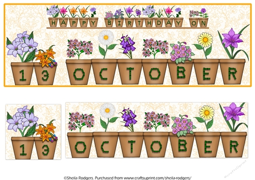 DAY OF THE YEAR BIRTHDAY FEMALE - OCTOBER 13