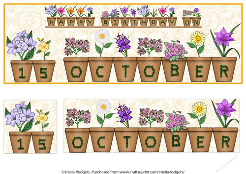 DAY OF THE YEAR BIRTHDAY FEMALE - OCTOBER 15