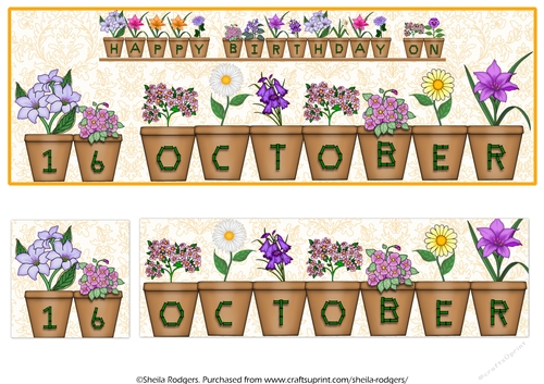 DAY OF THE YEAR BIRTHDAY FEMALE - OCTOBER 16