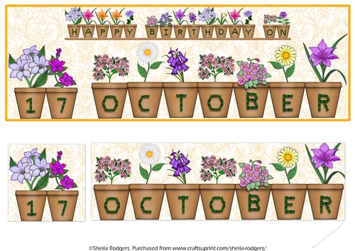 DAY OF THE YEAR BIRTHDAY FEMALE - OCTOBER 17