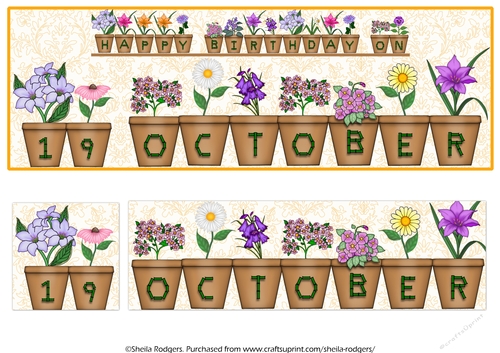 DAY OF THE YEAR BIRTHDAY FEMALE - OCTOBER 19