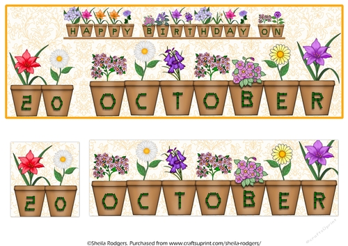 DAY OF THE YEAR BIRTHDAY FEMALE - OCTOBER 20