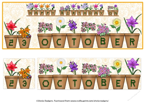 DAY OF THE YEAR BIRTHDAY FEMALE - OCTOBER 23