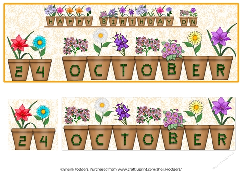 DAY OF THE YEAR BIRTHDAY FEMALE - OCTOBER 24