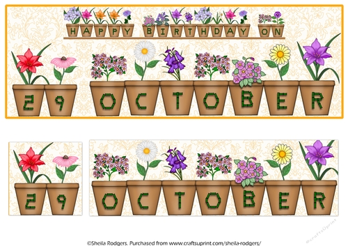 DAY OF THE YEAR BIRTHDAY FEMALE - OCTOBER 29