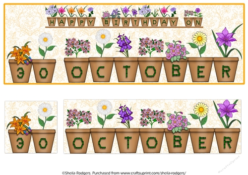 DAY OF THE YEAR BIRTHDAY FEMALE - OCTOBER 30