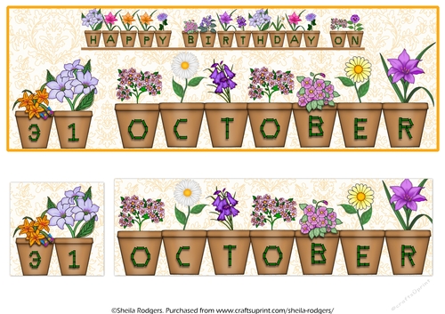 DAY OF THE YEAR BIRTHDAY FEMALE - OCTOBER 31