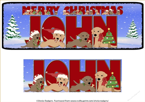 CHRISTMAS LABS - JOHN
