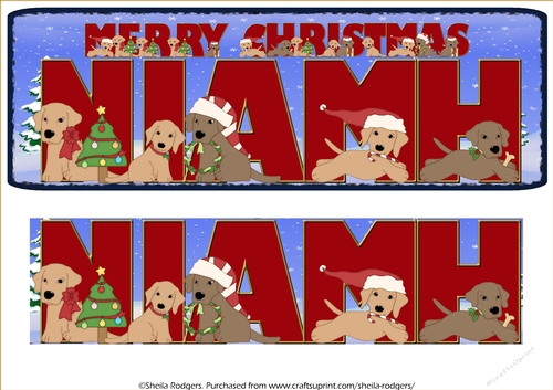 CHRISTMAS LABS - NIAMH
