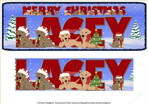 CHRISTMAS LABS - LACEY