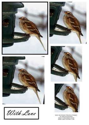 Bird on Feeder Twisted Pyramid