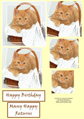 Ginger Cat Twisted Pyramid