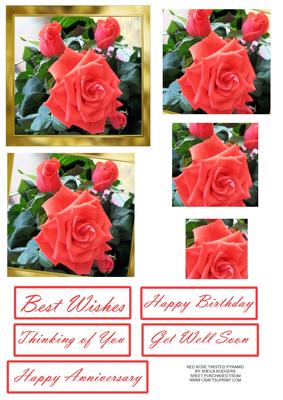 Red Rose Twisted Pyramid