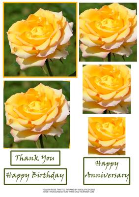 Yellow Rose Twisted Pyramid