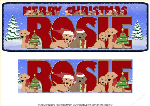 CHRISTMAS LABS - ROSIE