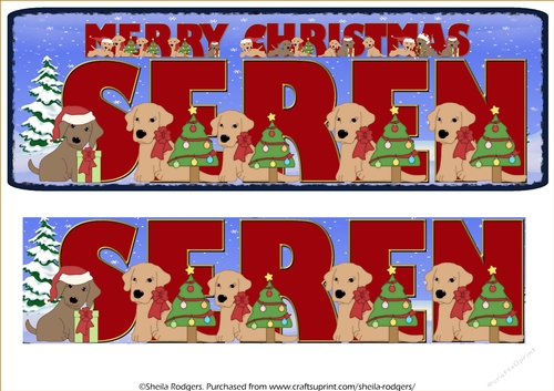 CHRISTMAS LABS - SEREN