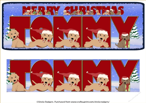 CHRISTMAS LABS - TOMMY