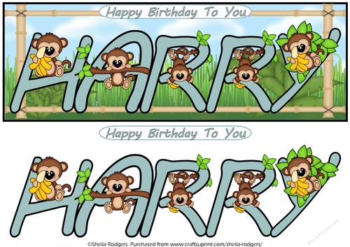 LITTLE MONKEYS NAMES - HARRY