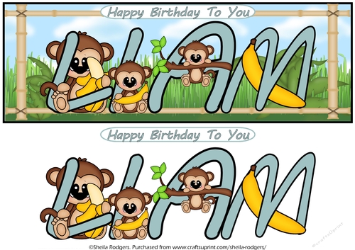 LITTLE MONKEYS NAMES - LIAM