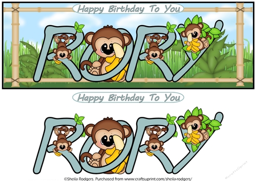 LITTLE MONKEYS NAMES - RORY