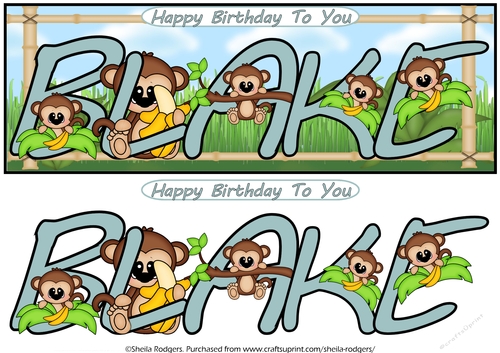 LITTLE MONKEYS NAMES - BLAKE