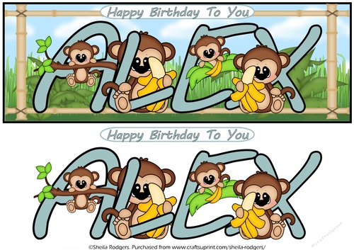 LITTLE MONKEYS NAMES - ALEX