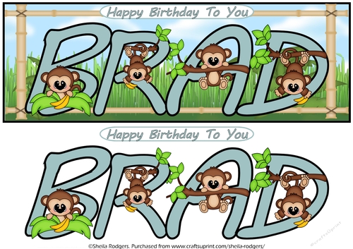 LITTLE MONKEYS NAMES - BRAD