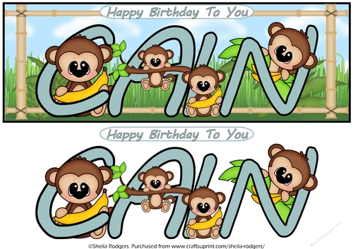 LITTLE MONKEYS NAMES - CAIN