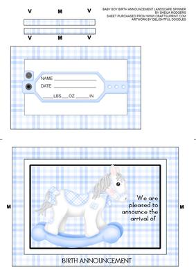 Baby Boy Birth Announcement Landscape Spinner