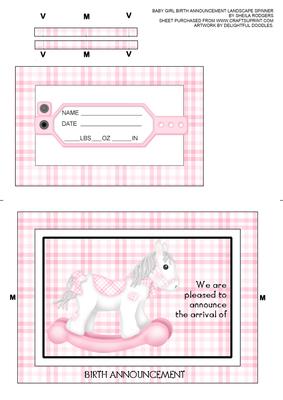 Baby Girl Birth Announcement Landscape Spinner