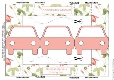 Female Driving Test Tri Shutter Card