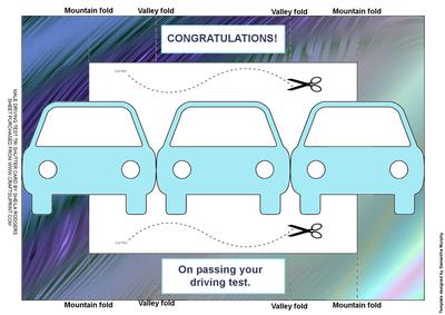 Male Driving Test Tri Shutter Card