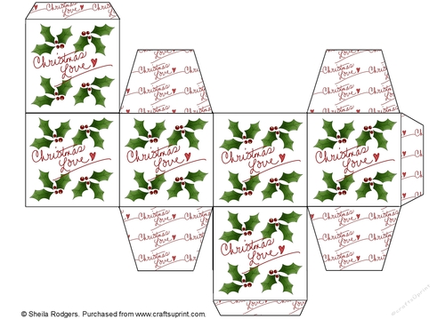 All in One Gift Box - Christmas Love Holly