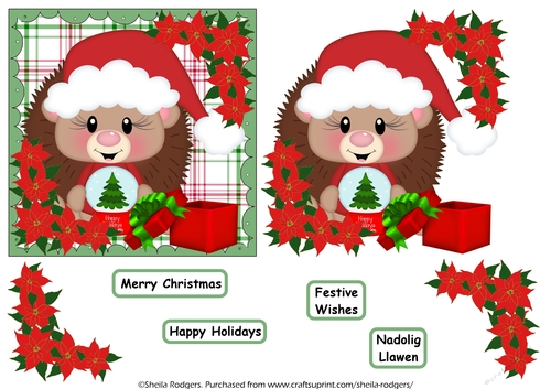 Christmas Hedgehog and Globe