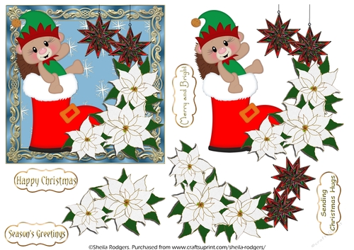 Christmas Hedgehog and Star Baubles